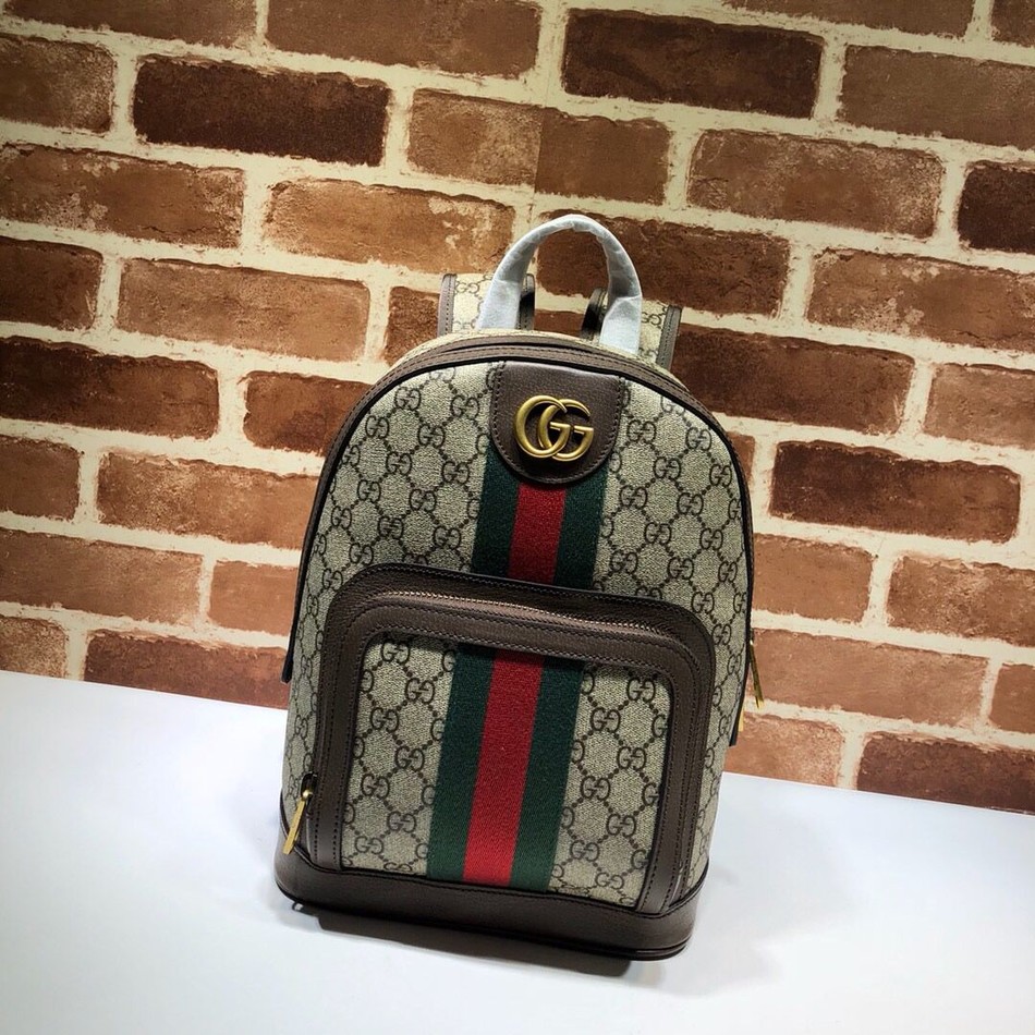 Gucci Ophidia series small GG backpack