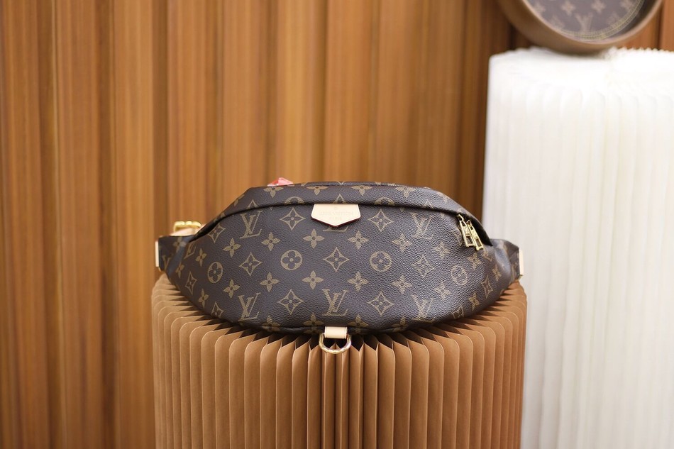 Louis Vuitton Bumbag Monogram belt bag M43644