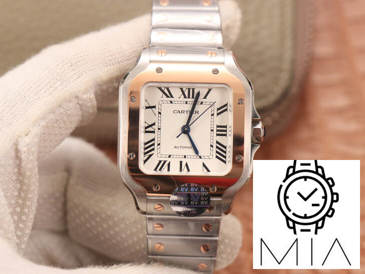 Cartier De Santos W2SA0007 BV Factory White strap